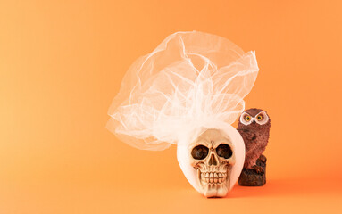 Skull with white vail and brown owl against orange background. Minimal halloween or Santa Muerte concept. - obrazy, fototapety, plakaty