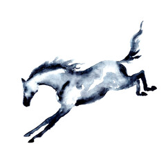 Fototapeta premium Kicking horse. Watercolor or ink hand painting. Beautiful hand drawing illustration on white. Equestrian silhouette. Young horse in motion. Equine art by artistic brush stroke. Strong stallion