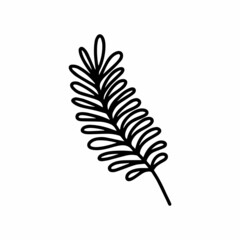 Vector tropical acacia leaf isolated on white background. Funny coloring and cute illustration for seasonal design, textile, decoration kids playroom or greeting card. Hand drawn prints and doodle.