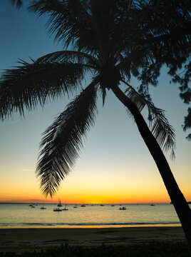 Silhouette of palm tree and yachts anchored in ocean at sunset, Fannie Bay, Darwin, Northern Territory, Australia