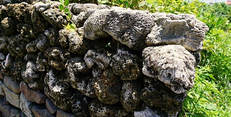 wall built with dead coral
