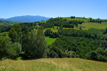 Obraz premium Summer landscape in the Carpathians, Pestera Village, Romania, Europe
