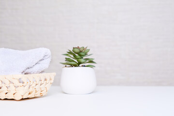 White towels and green plant as a spa, relax and massage concept