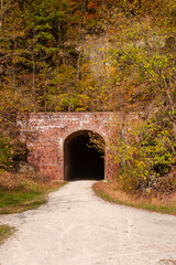 Fototapeta na wymiar A Tunnel On A Trail In The Woods In Autumn