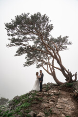 beautiful bride and groom stand on a cliff in the mountains under a tree in fog.