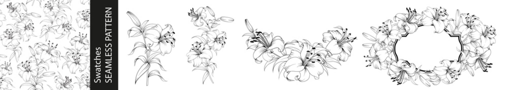 Set of different branches of lilly, pattern and circle frame on white background.