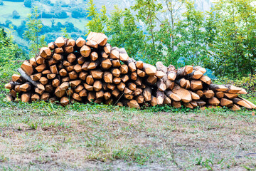 Landscape of a pile of cut and sharpened wooden logs for use in farm or land fences.The photo is in horizontal format.