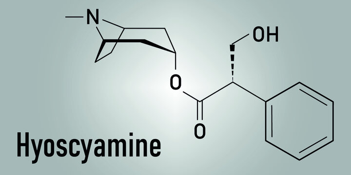 Hyoscyamine alkaloid molecule. Herbal sources include henbane, mandrake, jimsonweed, deadly nightshade and tomato. Skeletal formula.