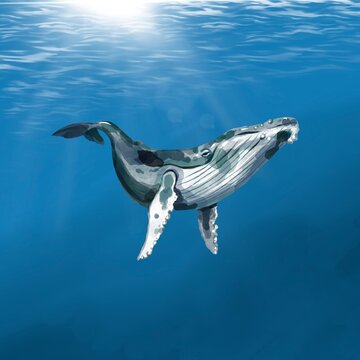 White whale, Whale Finwal against the background of the ocean. Watercolor illustration