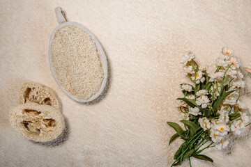 Fototapeta na wymiar Esponja de lufa y dos discos cortados de lufa sobre un fondo beige con flores. Cambios para un baño cero residuos sin plástico.
