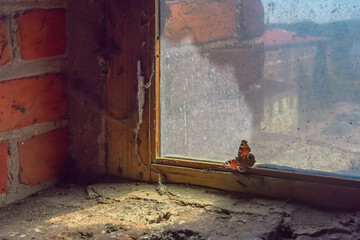 A peacock butterfly sits on the dusty window of an old bell tower. City square on a blurred background. The concept of striving for light - 455380392