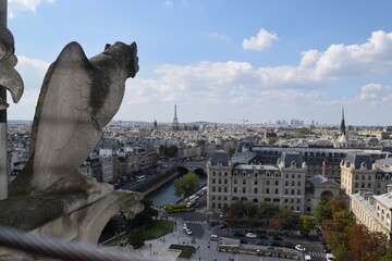 Gargoyle on top of Notre-Dame de Paris. Notre-Dame, is a medieval Catholic cathedral on the Île de...