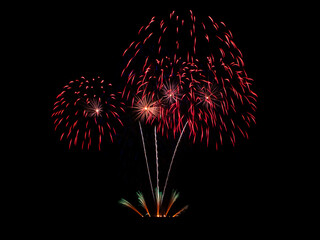 festive multicolored fireworks on a black background
