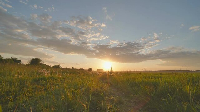 Sunset on a meadow in the village. Video in motion.