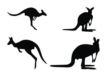Kangaroos black silhouettes  on white background vector shapes Australia.