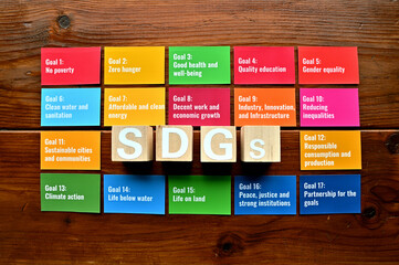 On a wood board, wooden word cubes are arranged in the letters SDGs. It is an abbreviation for...