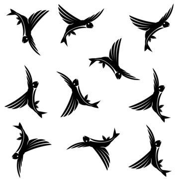 Flying fish pattern design