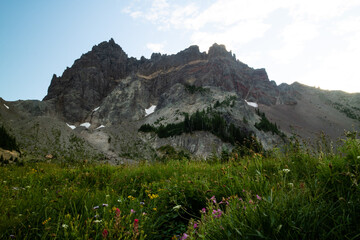 Canyon Creek Meadows