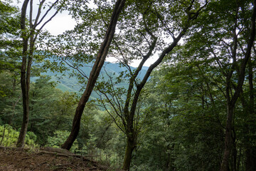 小高山からの景色