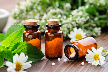 Bottles of homeopathy granules. Homeopathic remedies - Chamomilla, Mentha piperita. Daisies flowers and mint leaves on table. Homeopathy medicine concept.