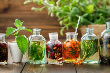 Bottles of essential oil or infusion of medicinal herbs and berries, healing plants on wooden table. Alternative medicine. - obrazy, fototapety, plakaty