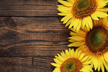 Beautiful yellow sunflowers on wooden board, top view. Copy space for text.