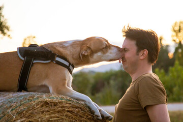 the dog sits on a haystack and suddenly lies his master's nose