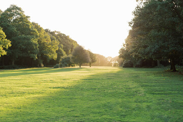 luscious green golden countryside at sunset