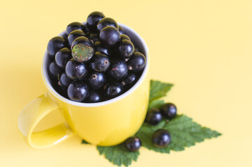 Yellow mug filled with currant berries on a bright yellow background close-up. The concept of the use of vitamin C in natural components
