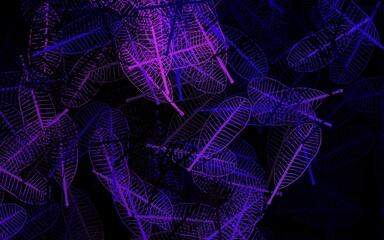 Dark Purple, Pink vector abstract background with leaves.