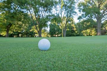 A ground level view of a golf ball on the green near the pin.