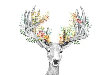 Behang Boho dieren Hertenschets, gewei met bloemenbladeren en bessen, versierd gewei voor Kerstmis of herfst herfstseizoen, met de hand getekend bosdier in bloemenmuurkunstdruk,