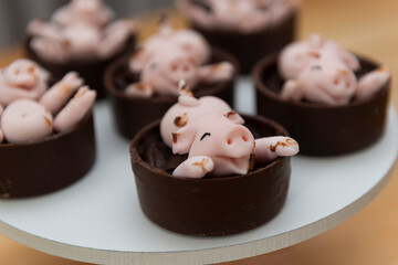 Happy cute pink pigs candies playing in the mud