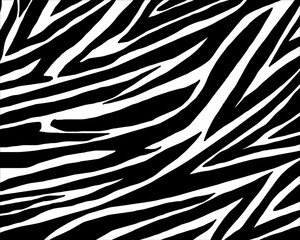 zebra skin texture.vector illustration eps10