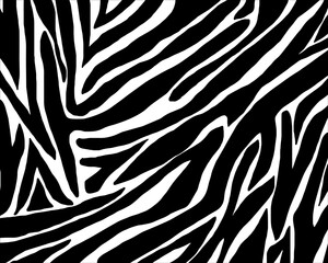 Fototapeta na wymiar zebra skin pattern texture.