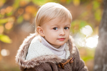 Fototapeta premium portrait of a little blond boy in a knitted sweater in autumn. High quality photo