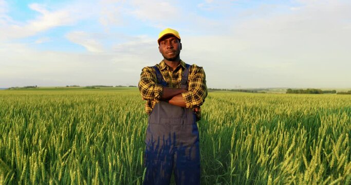 Portrait of a male farmer in a wheat field. The concept of agriculture, harvest, farming.