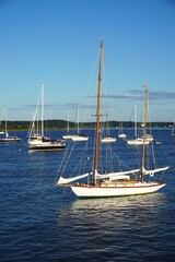 Sleek white sailboats moored in a quiet harbor under blue skies on a sunny day