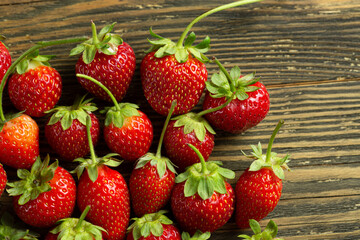 Ripe red strawberries on a tree. A good harvest of strawberries, healthy food photos. High quality photo