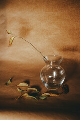 leaves fallen from a branch, autumn leaves in a vase, autumn, autumn bouquet, fallen leaves, still...