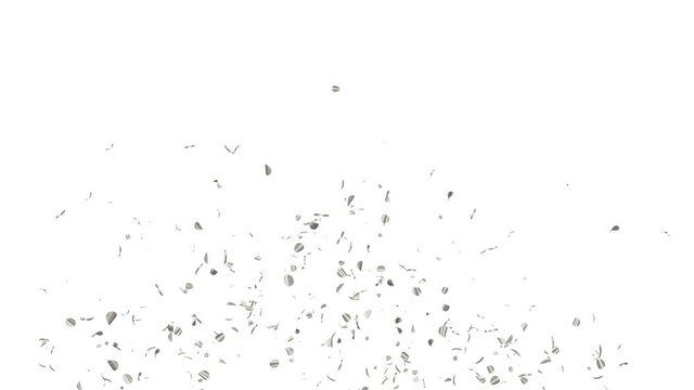Realistic Silver Confetti Particles with Luma Matte Channel.