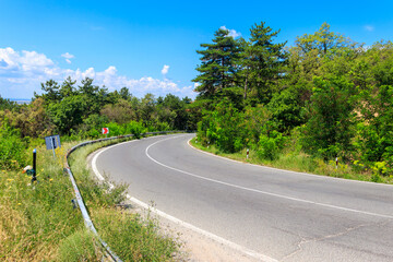 Naklejka premium Asphalt winding road in a green forest