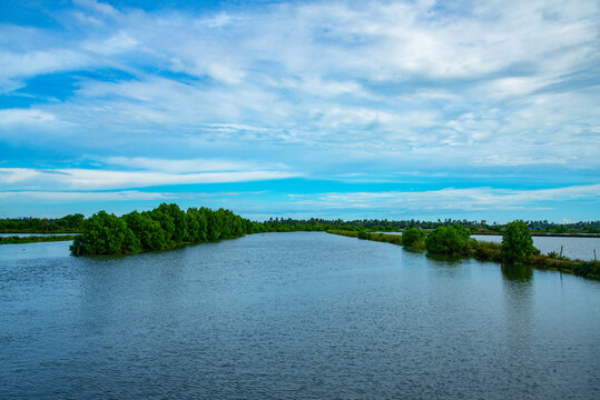 Beautiful nature photography mangrove forests under blue sky, Kerala backwaters Kadamakkudy Kerala