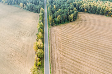 aerial view of country road surrounded by trees and agricultural fields. rural landscape on autumn day.