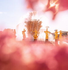  Blooming lilac bushes on the background of the Friendship of Peoples Fountain at VDNH. Flowers and a sunny day in a Moscow park against the background of a tourist attraction. Bokeh made of flowers
