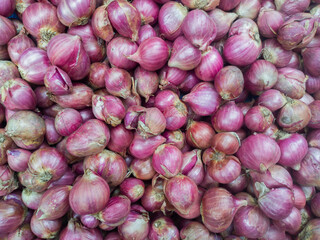 Freshly harvested red onions and ready to be sold in the market