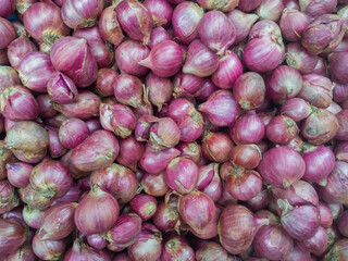 Freshly harvested red onions and ready to be sold in the market