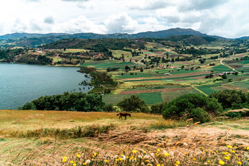 Rural landscape in Colombia
