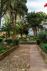 palm trees in the plaza