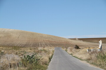 Weg durch trockene Landschaft
